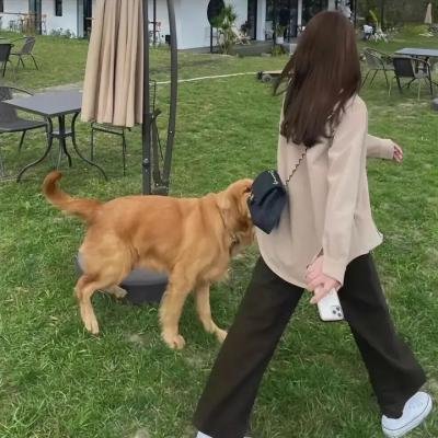 上帝的喜剧